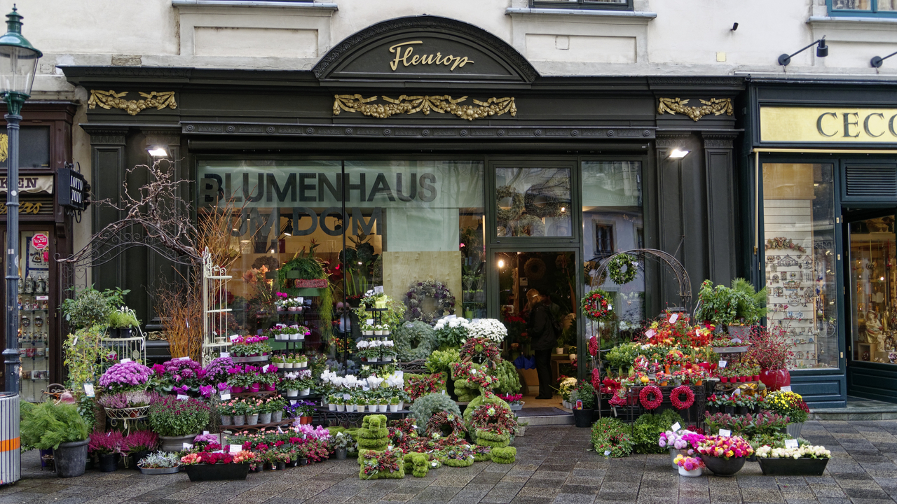 20131024 103838•Vienna•Vienna•Austria